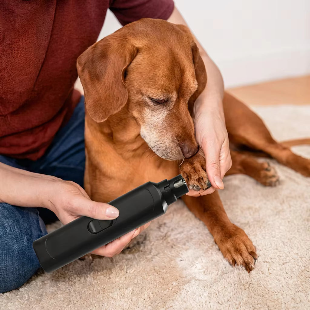 CalmPaws Grinder