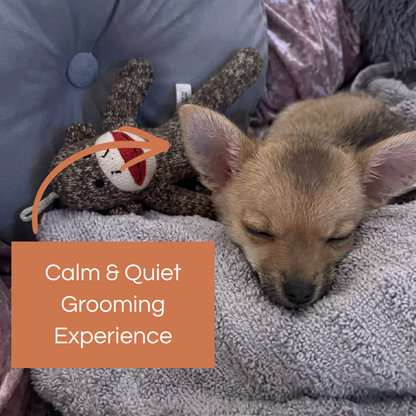 CalmPaws Grinder